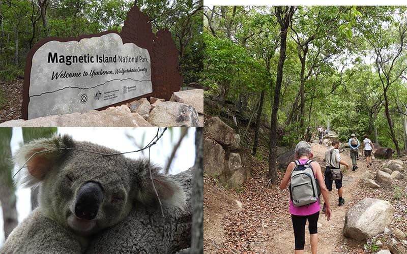 Day 9 Magnetic Island