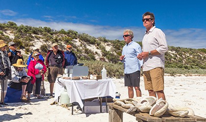 Flinders Island Abalone