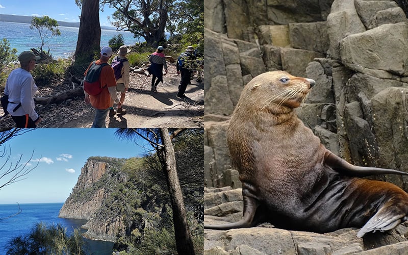 Adventure Bay, Bruny Island - Day2