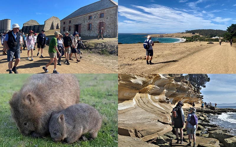Maria Island - Day4