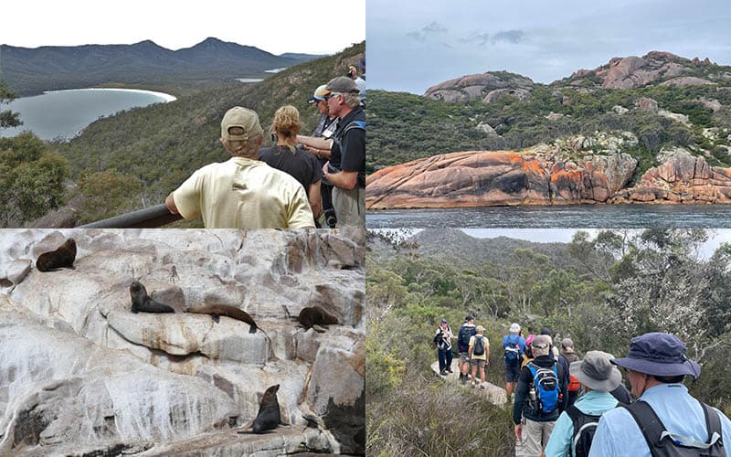 Freycinet NP Day5
