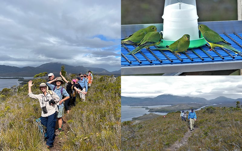 Melaleuca and Mt Beattie, Port Davey Day9