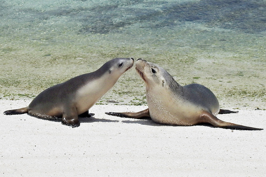 Abrolhos 900x600px