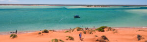 Abrolhos-Islands-and-the-Coral-Coast-Cruise-Shark-Bay-Kayaking-swimming