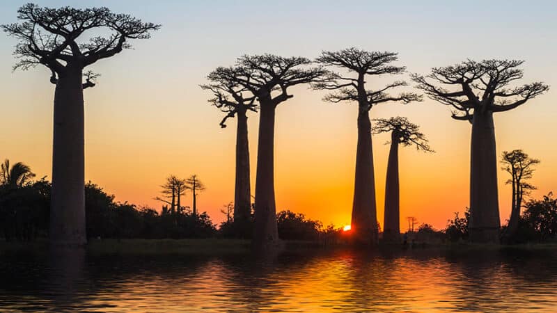 Africa's Frontier Islands