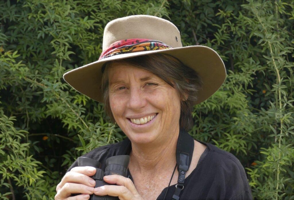 Anne ODea Bio