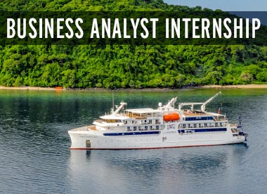 Business-Analyst-Internship-Career