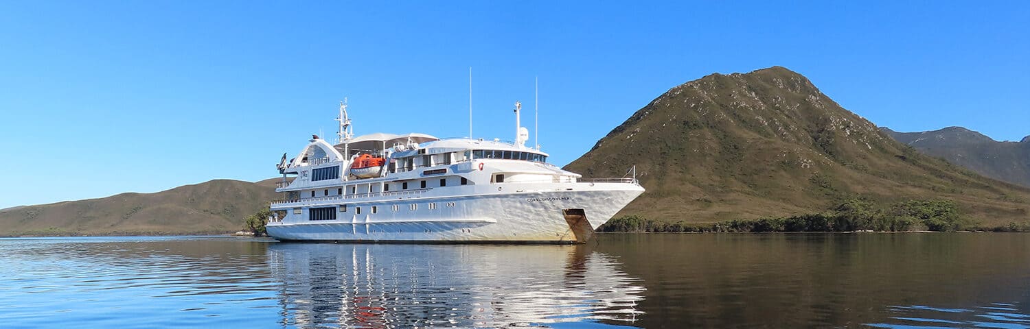 Coral Discoverer