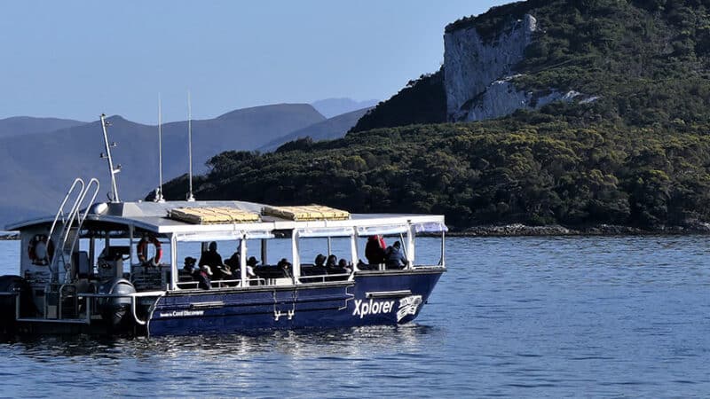Coral Discoverer's New Xplorer