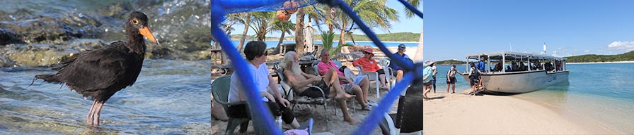 Coral-Expeditins-Restoration-Farmer-Island
