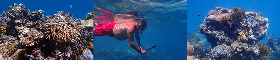 Coral-Expeditions-Cruise-Ashmore-Reef