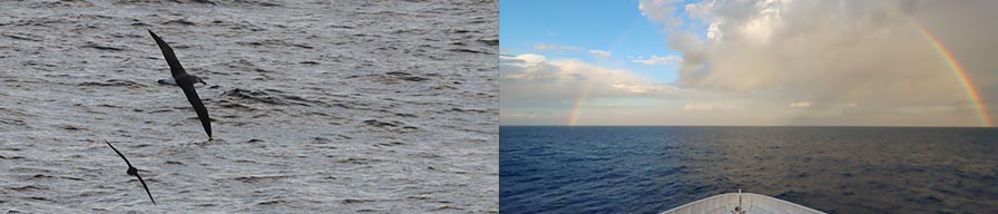 Coral-Expeditions-Cruise-At-Sea2