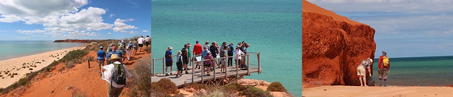 Coral-Expeditions-Cruise-Cape-Peron