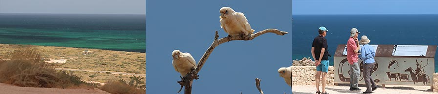 Coral-Expeditions-Cruise-Exmouth