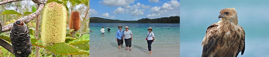 Coral-Expeditions-Cruise-Fraser-Island