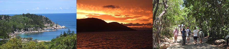 Coral-Expeditions-Cruise-Magnetic-Island