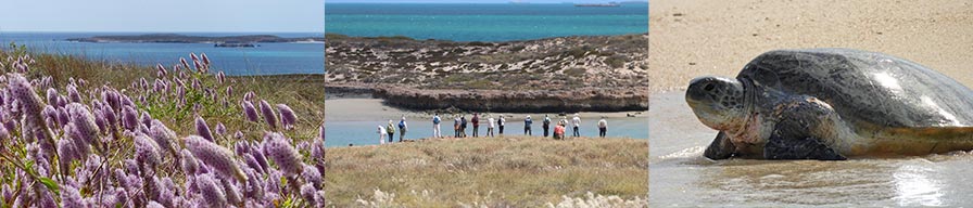Coral-Expeditions-Cruise-Montebello-Islands