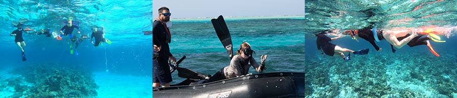 Coral-Expeditions-Cruise-Scott-Reef