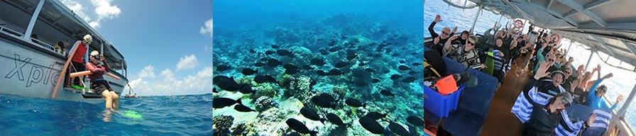 Coral-Expeditions-Osprey-Island-Cruise