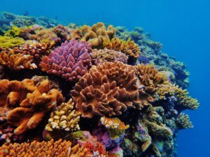Day 3 - stanley - GBR - jan 2022