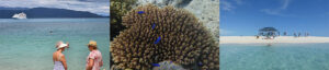 GBR day2 24.11.22