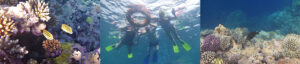 GBR day6 28.11.22