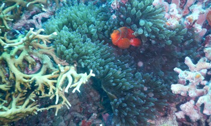 GBR091122