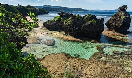 Iriomote Island