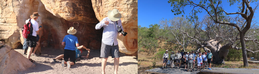 KimTiwi-Day4