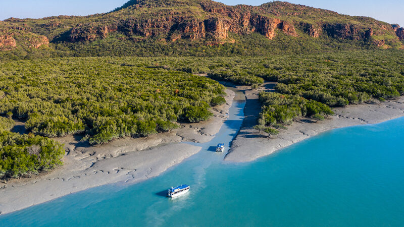 Kimberley-Coral-Expeditions