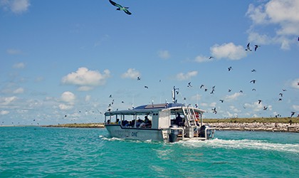 Lacepede Island