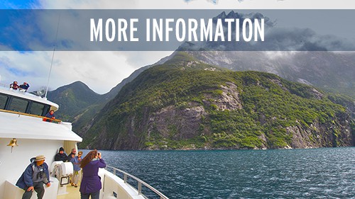 More Information -NZ