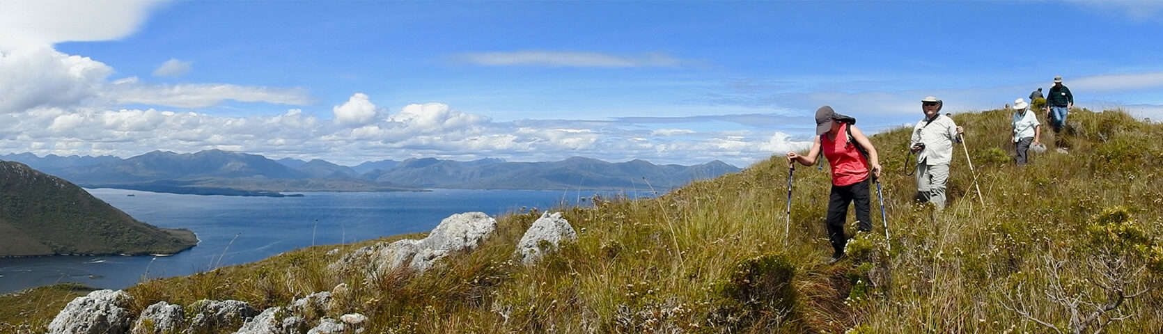 Mt-Beattie-Walk-Tasmania-Cruise