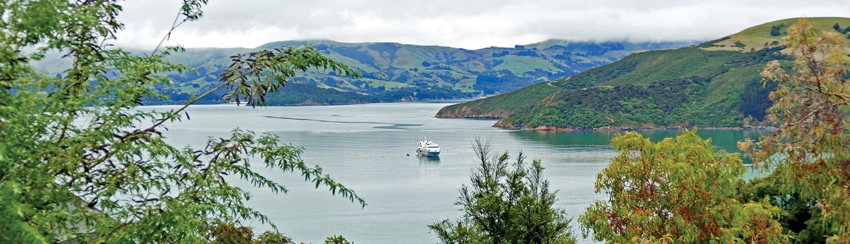 New Zealand 1