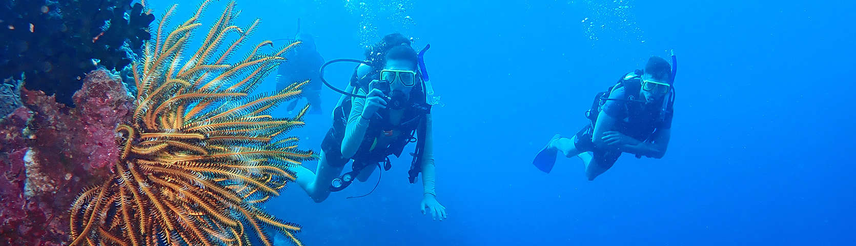 Page Banner - SCUBA Dive