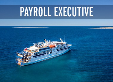 Payroll Executive