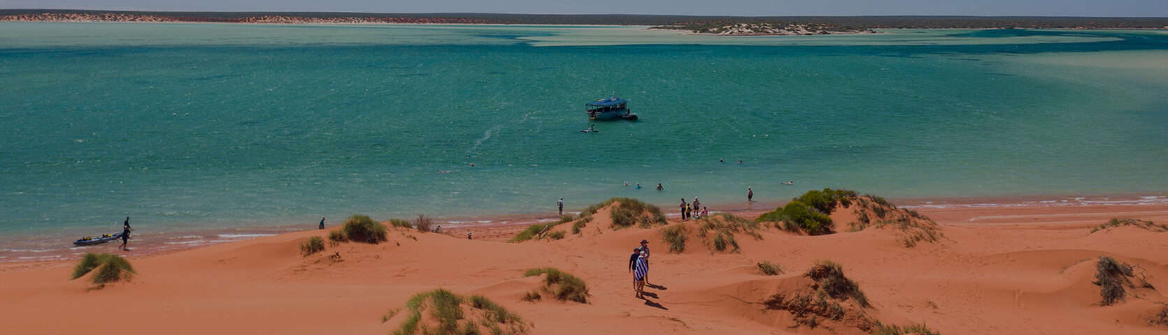 Shark Bay - Coral Expeditions