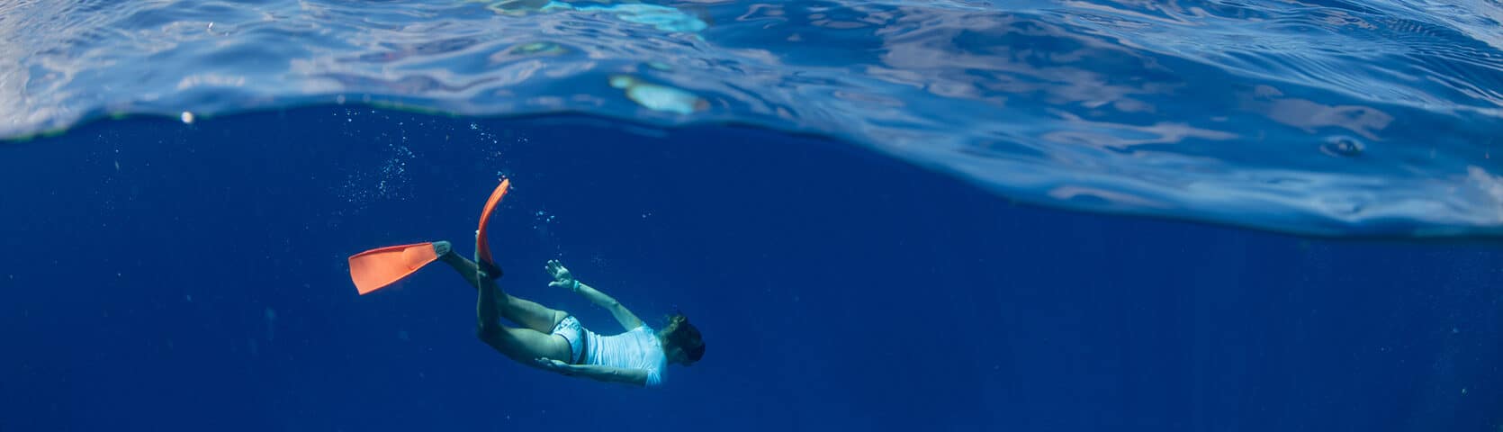 Snorkel & Dive Great Barrier Reef