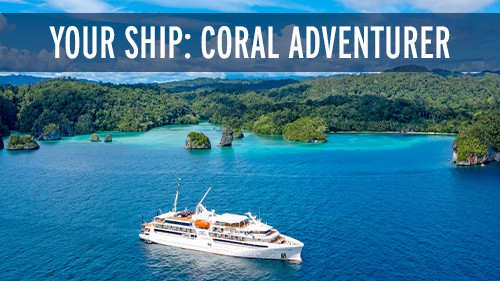Your-Ship-Coral-Adventurer-Spice