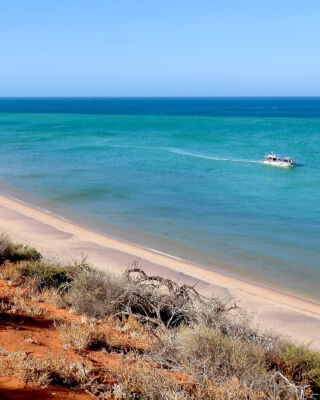 With Abrolhos 2023 only a few months away now we couldn't help but look back at the beautiful images we've captured over the past few years. 

Broome to Fremantle | 12 nights | March 2023

📸 Join the voyage: Abrolhos Islands and the Coral Coast 

#WAtheDreamState #AbrolhosIslands #SeeAustralia #CoralExpeditions #ExpeditionCruise #Travel #Turtle  #SharkBay #CapePeron #Exmouth #WestCoast #WesternAustralia #CoralCoast #Explore #Cruise