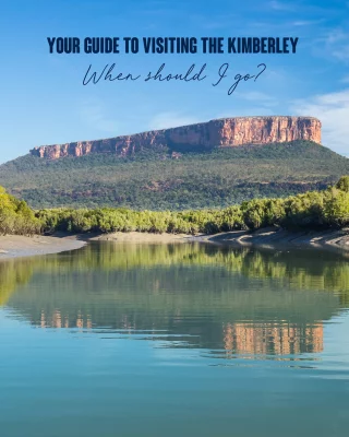 Not sure when to visit the Kimberley? A tough decision when our Kimberley season is broken down in three distinct periods known as, “Waterfall,” “Peak,” and “Whale”. Find your perfect month and let’s get sailing! 🛳️ 💦🌅🐳
➡️Swipe through to find when to visit these Kimberley highlights!