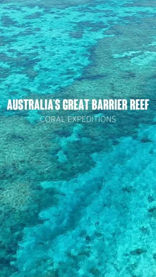 🪸🐠🛳️🤿
Guests have boarded Coral Discoverer on a citizen science expedition to the Great Barrier Reef, sailing from Brisbane back to her home port of Cairns. Over the next few days, they’ll dive into hands-on experiences with leading research experts, exploring remote reefs, islands, and marine habitats. From witnessing turtle conservation at Mon Repos Turtle Centre to snorkeling alongside manta rays at Lady Elliot Island, every moment is a chance to connect with the reef like never before. They’ll contribute to species surveys, help restore coral reefs, and even lend a hand at the Cairns Turtle Rehabilitation Centre. With visits to the Museum of Underwater Art and participation in groundbreaking programs like Coral Watch and Eye on the Reef, this journey is all about making a real impact. 

Stay tuned as we share highlights from this incredible voyage! #CoralDiscoverer #GreatBarrierReef #CitizenScience #ExpeditionCruise