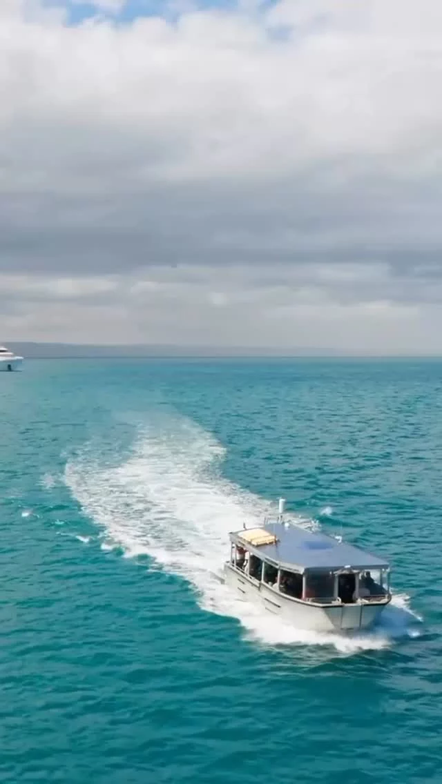 Today marks six months until Coral Adventurer sets sail on our once-in-a-lifetime Australian Circumnavigation. Departing in October 2025, this legendary 60-day expedition will take just 112 guests on a journey around our island continent — a homeland truly “girt by sea.” 

Along the way, discover remote coastlines, rich cultural heritage, and unforgettable natural encounters. With 48 days of guided excursion activities, a fascinating onboard program, and three signature special events — including an Island Cultural Festival in the Torres Straits, a Winemakers Lunch at Leeuwin Estate, and a charter flight to an Outback Homestead in Longreach — this is more than a voyage. It’s a rare chance to connect deeply with the people and places that shape Australia.

Interested in joining this voyage? Learn more here: https://www.coralexpeditions.com/au/destinations/cruise-around-australia-circumnavigation-of-australia/

#AustralianCircumnavigation #CoralAdventurer #ExpeditionCruise #SeeAustraliaDifferently #SmallShipAdventure