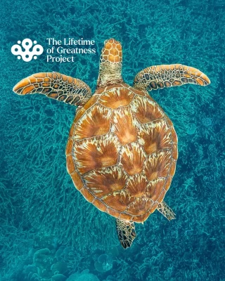 🪸 The Great Barrier Reef has just been nominated for a United Nations Lifetime of Achievement Award — and it’s the first time in history a non-human has been recognized for such a powerful honor.

This is more than a nomination. It’s a tribute to one of the most extraordinary living systems on Earth. For nearly 10,000 years, the Reef has nurtured life, protected coastlines, inspired coral expeditions, and supported communities — from Traditional Owners to scientists, students, and those who work every day to protect it.

The Reef is not only vital to marine life and the planet — it’s part of our story too. Coral is in our name, and in our purpose. We’re proud to stand alongside those fighting for its future, and to celebrate everything it has given to the world.

Because sometimes, the greatest impact comes from the quiet power of nature itself.
Join us in supporting the Lifetime of Greatness Project: alifetimeofgreatness.com
#LifetimeOfGreatness #GreatBarrierReef #CoralForLife #LegacyOfTheReef