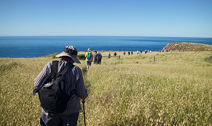 south australia 420x250